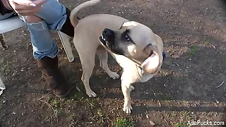 3058 pussy porn videos